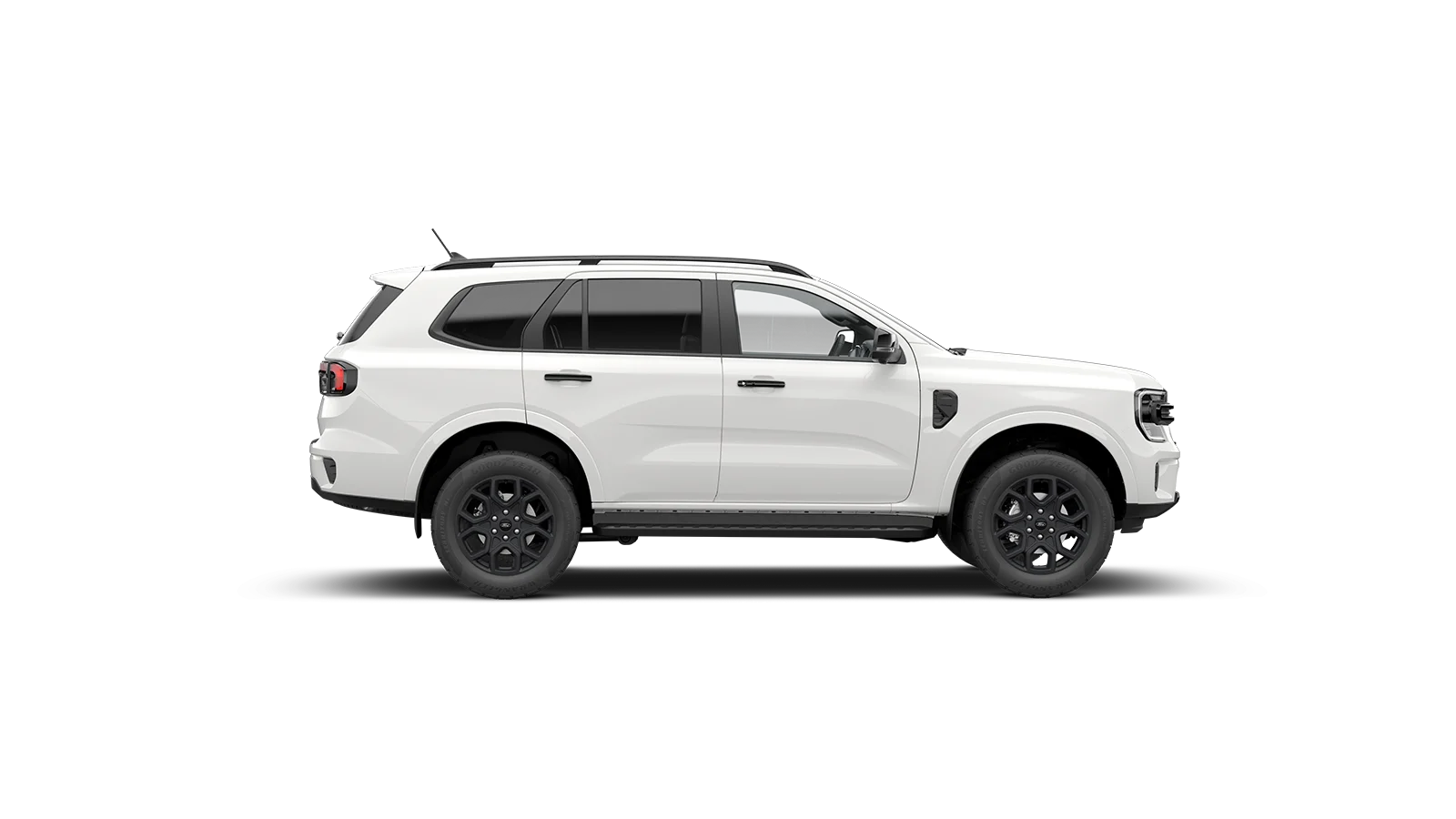 Everest Sport