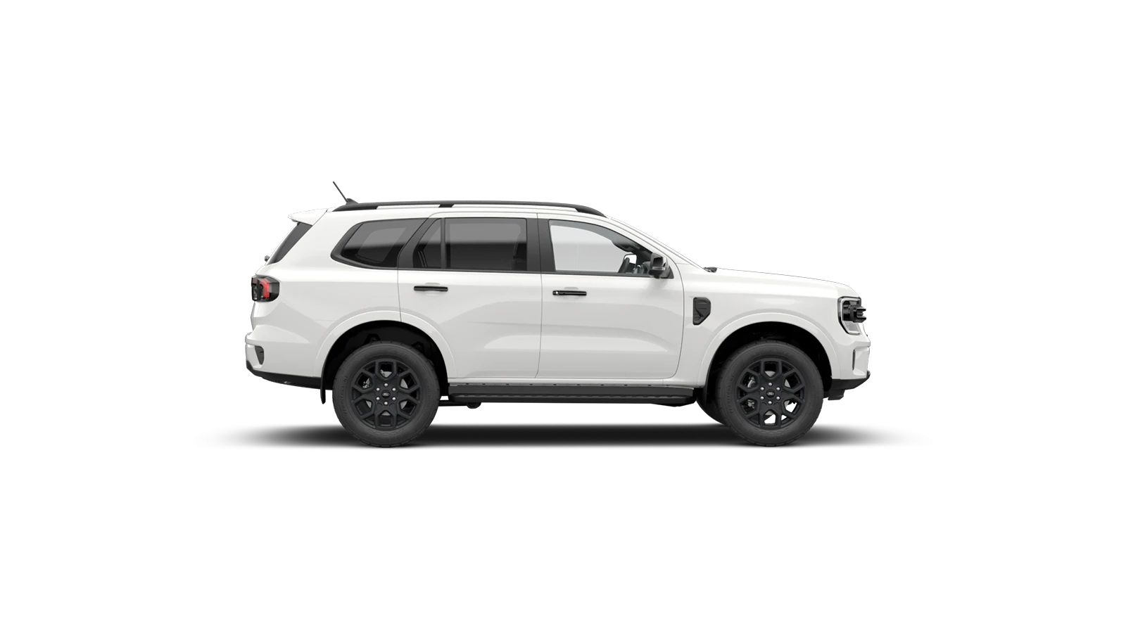 Everest Sport
