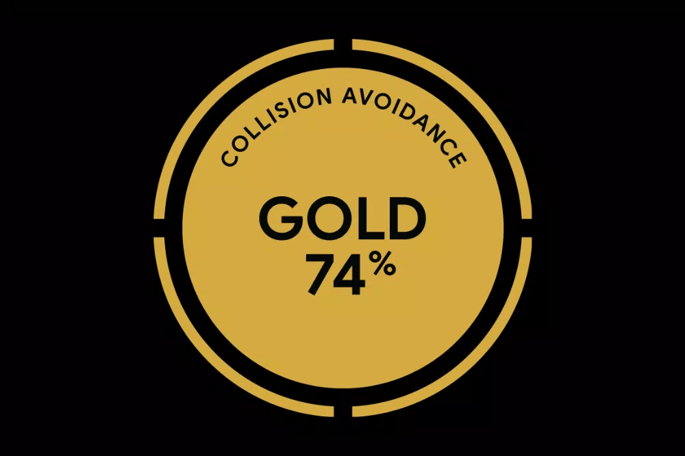 safety-ancap-gold.png