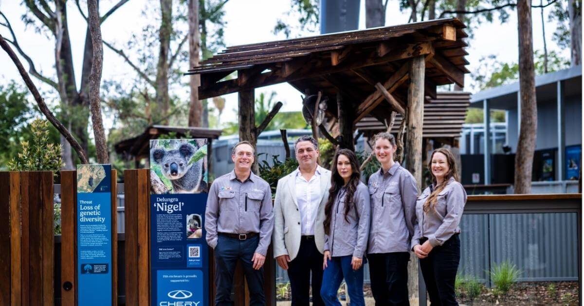 Chery Australia announces new contribution to support redeveloped Port Macquarie Koala Hospital