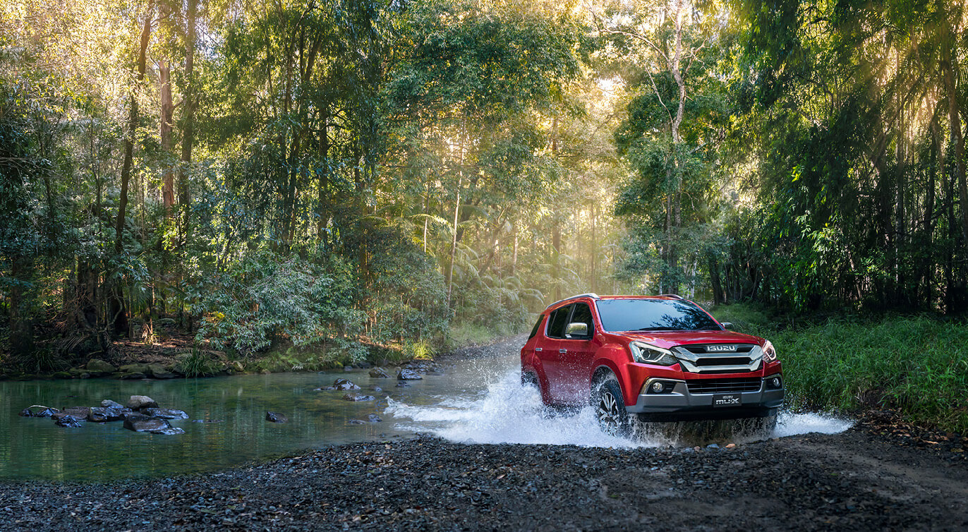 Sales Report 2019