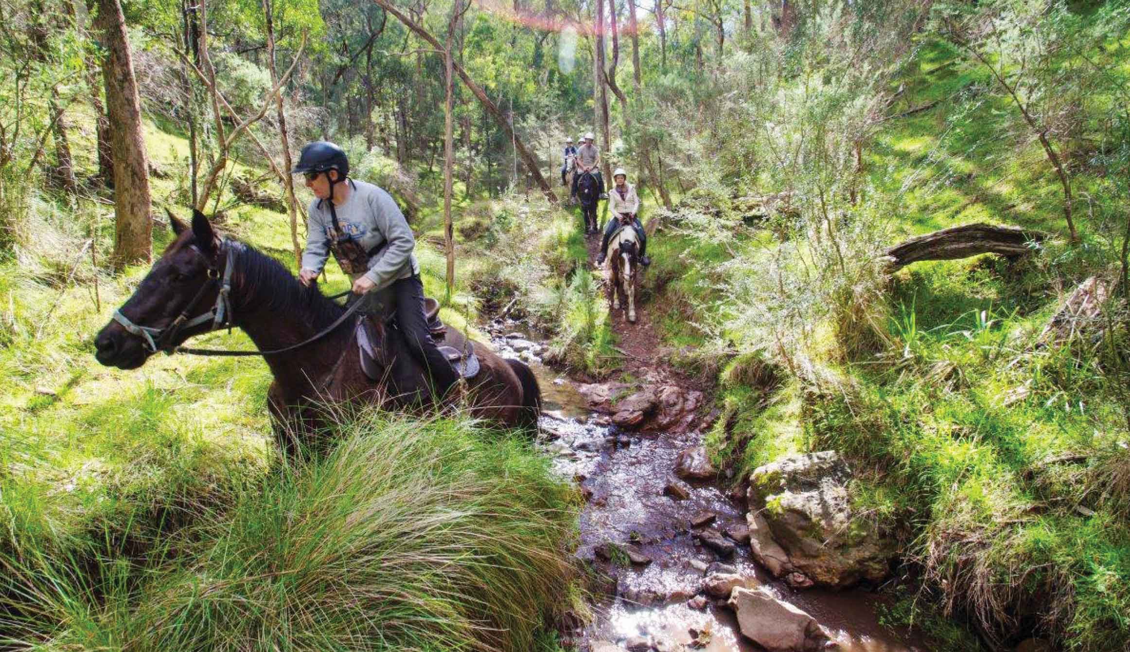 Group of horseriders ride though water crossing and up hill
