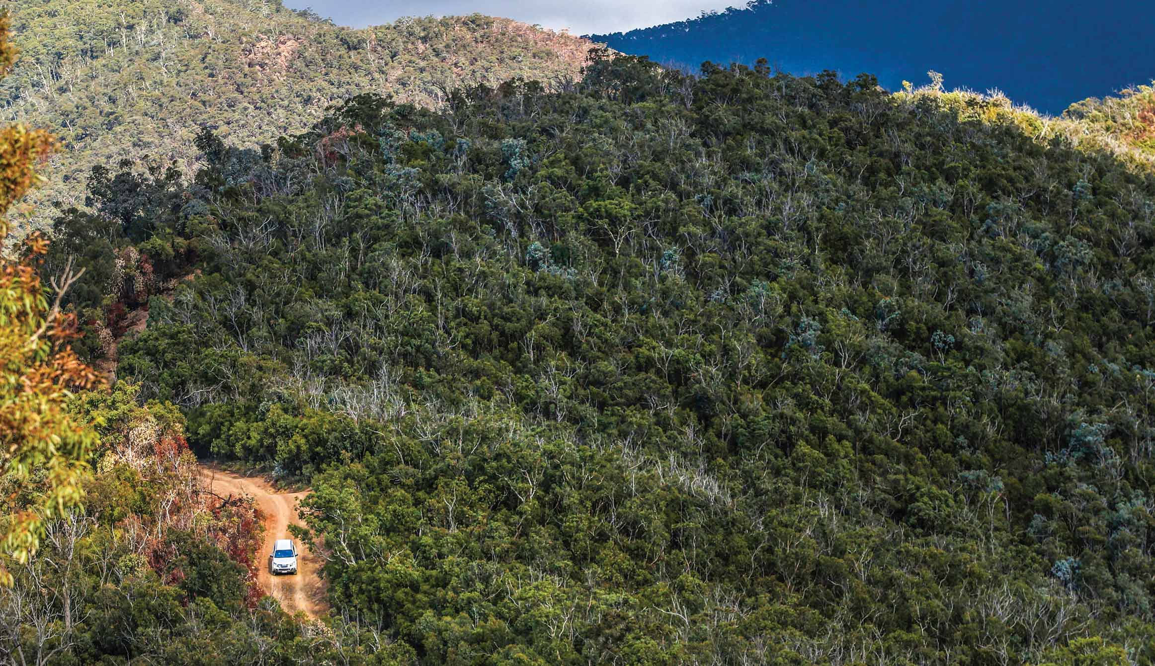 Aerial shot of MU-X driving along dustry track surrounded by forest 