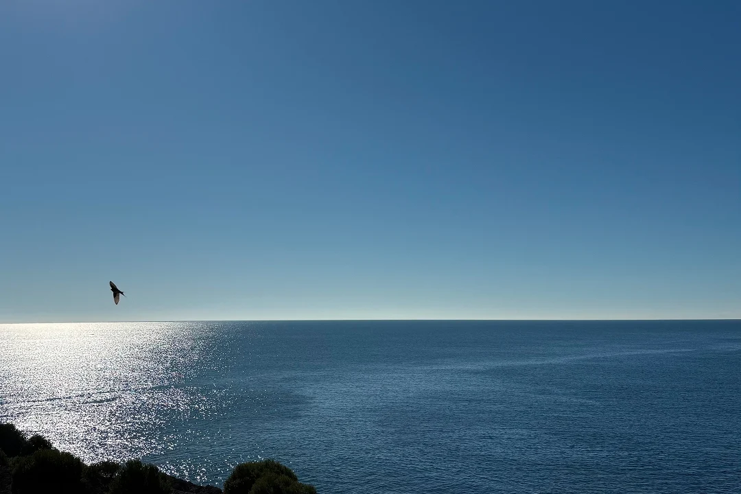 NSW South Coast scenic landscape, Sapphire Coast Australia
