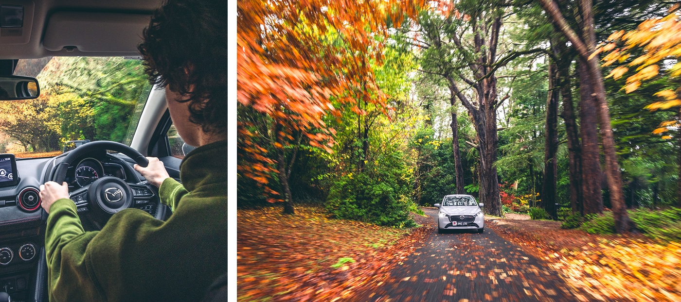 Mazda2 Autumn Mosaic 1400x622 (03).jpg