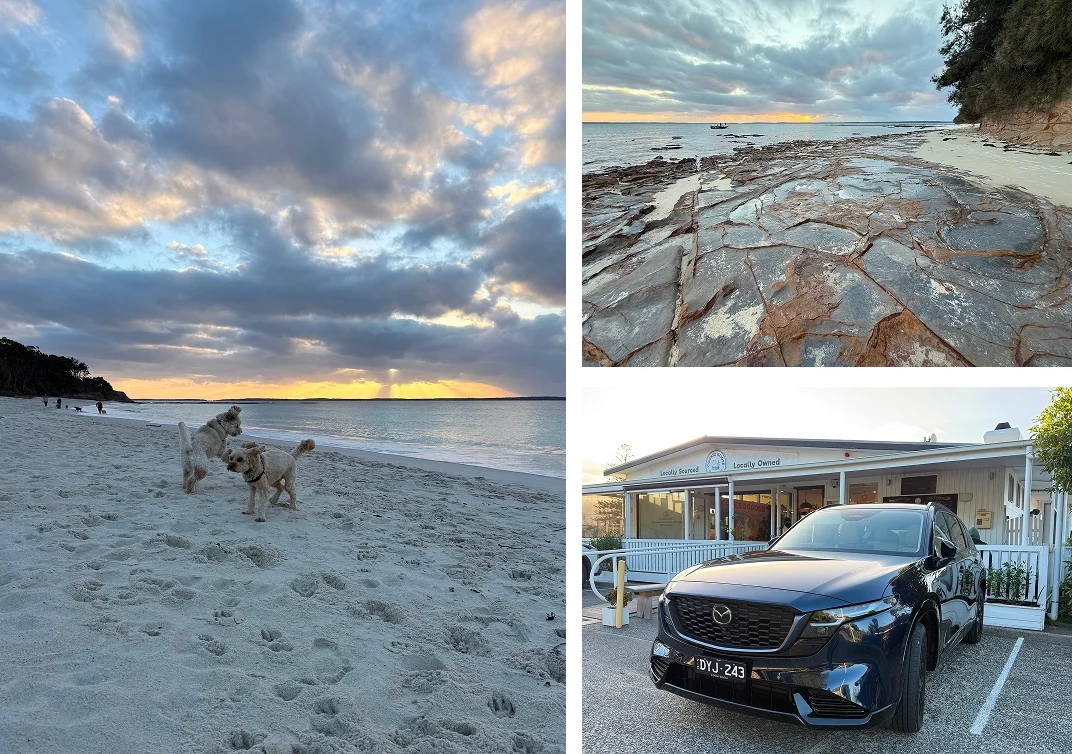 Nelson Beach dog beach, Plantation Point sunrise, and The Cooked Goose at Hyams Beach, Jervis Bay NSW