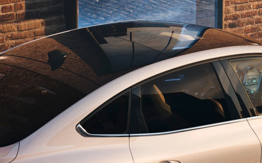 Black roof