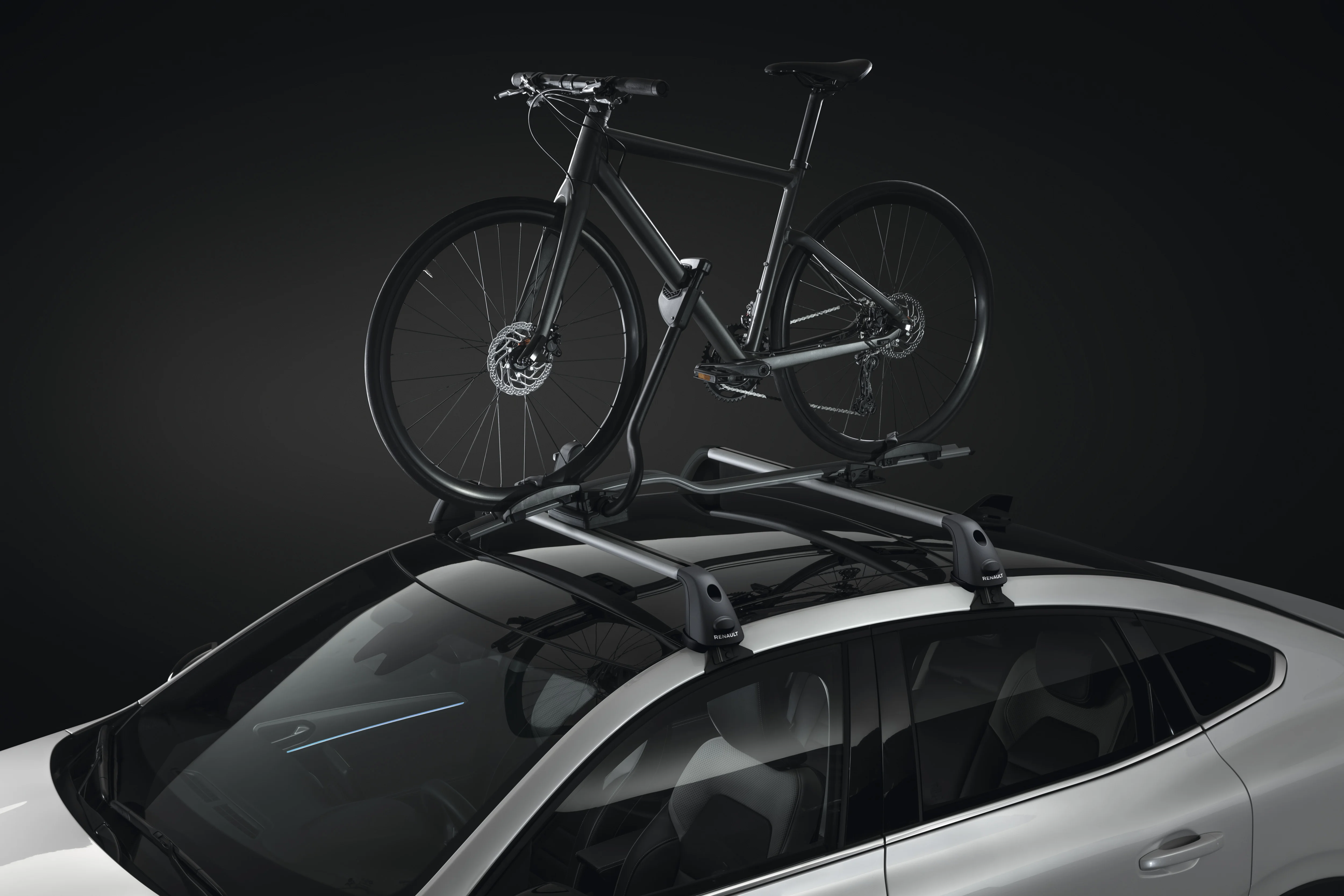 Expert bike rack on roof bars