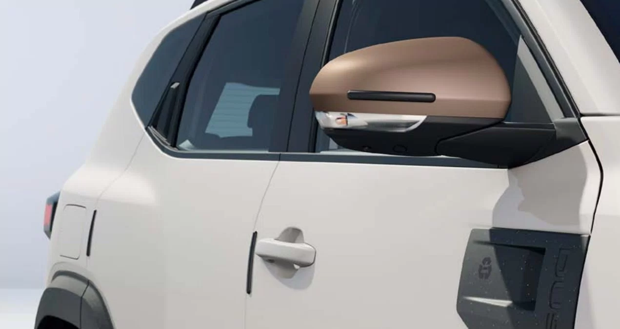 Door mirror and door stop protectors