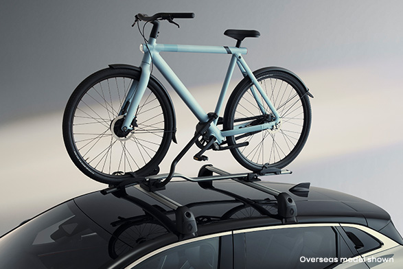Bicycle carrier