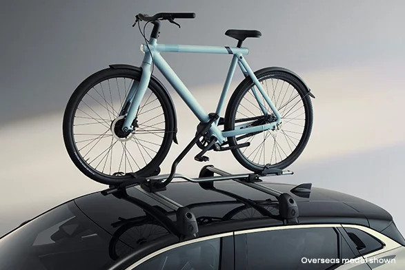 Bicycle carrier