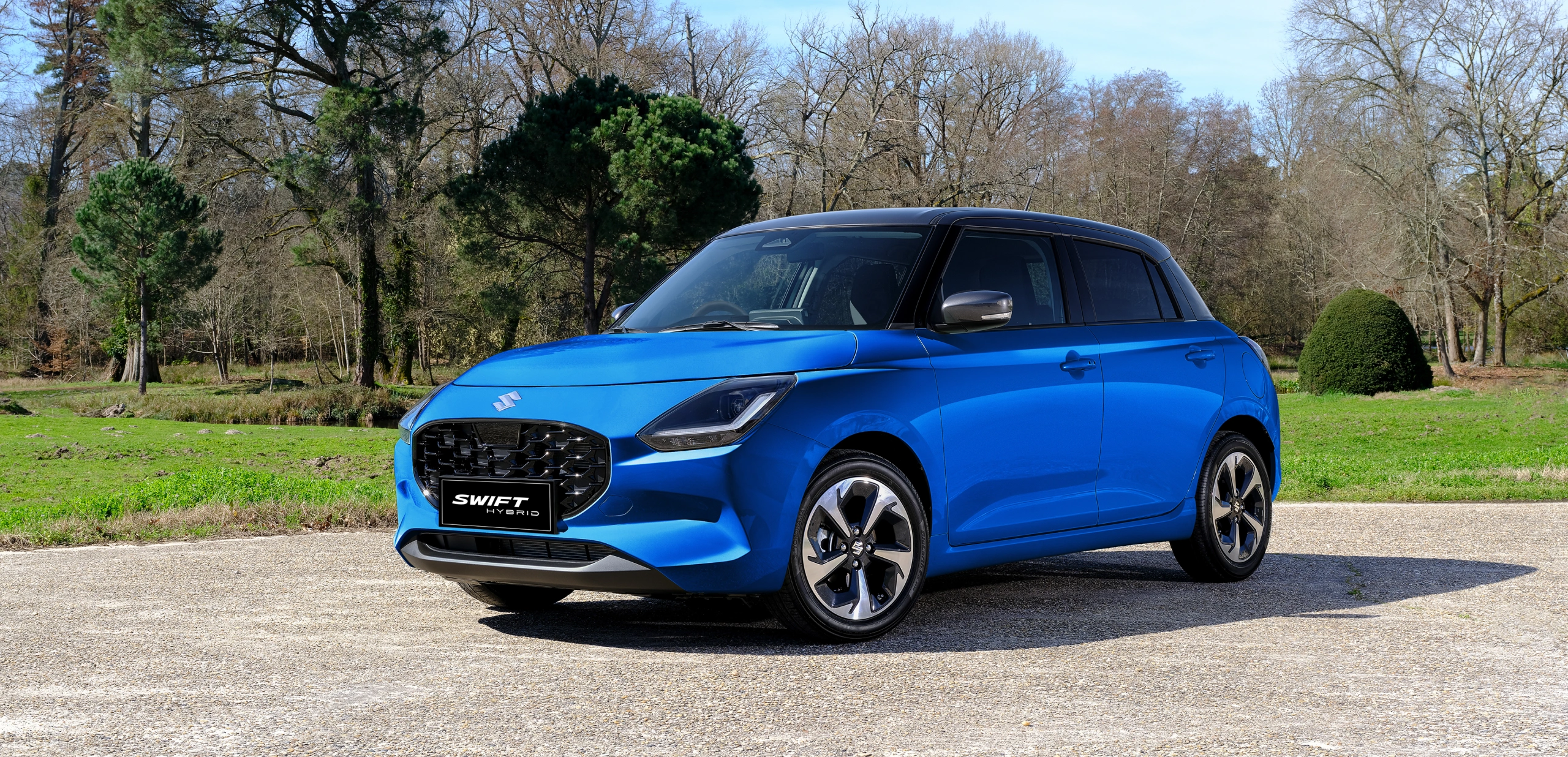 Swift Hybrid gallery image 1